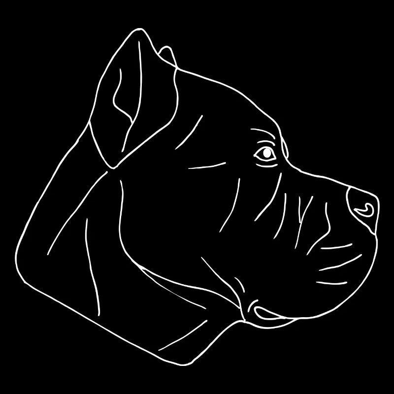 Cane Corso