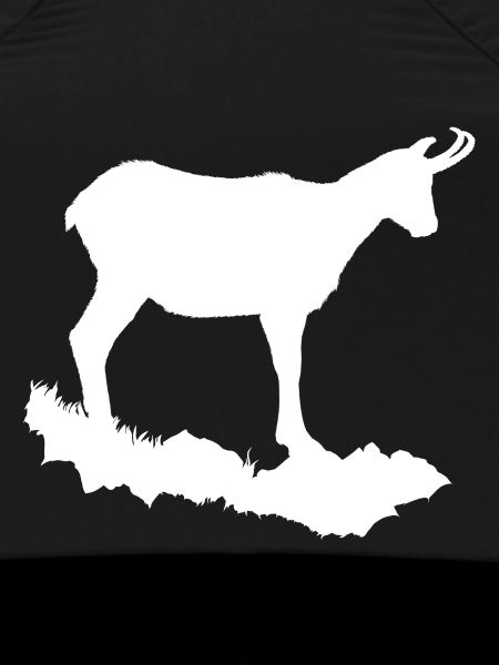 Chamois