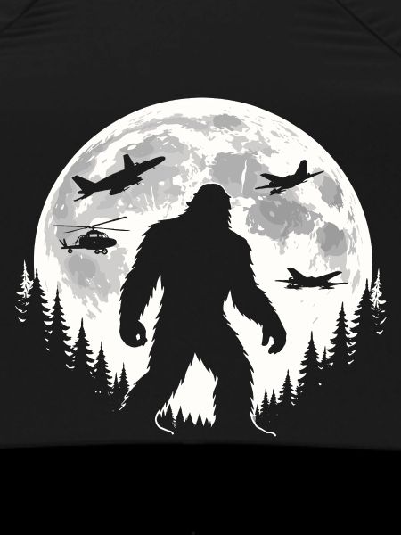 Bigfoot Airplanes