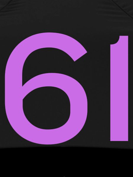 61