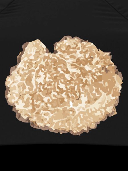 Truffle Slice Brown