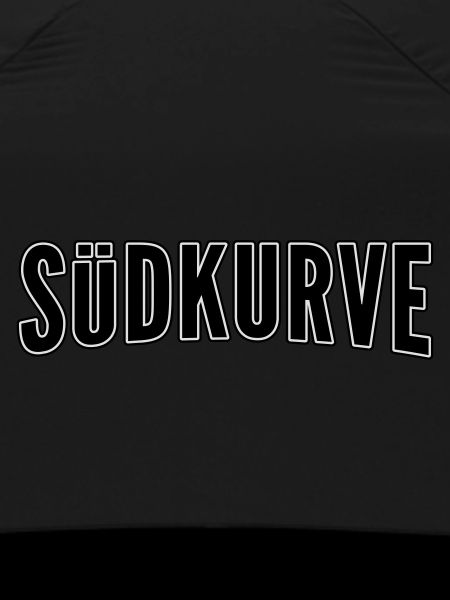 south curve