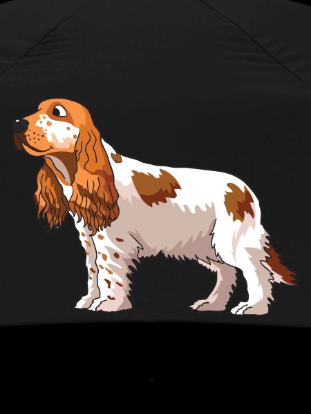 Cocker Spaniel Dog