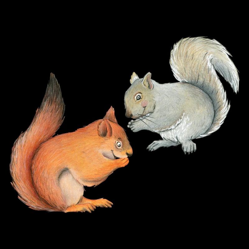 Funny squirrels