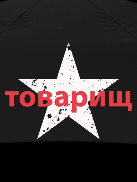 товарищ