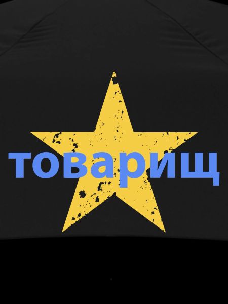 товарищ