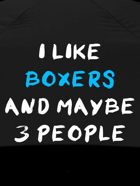 Boxer Hund