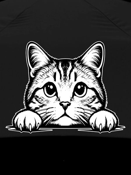 Chat Straigh écossais