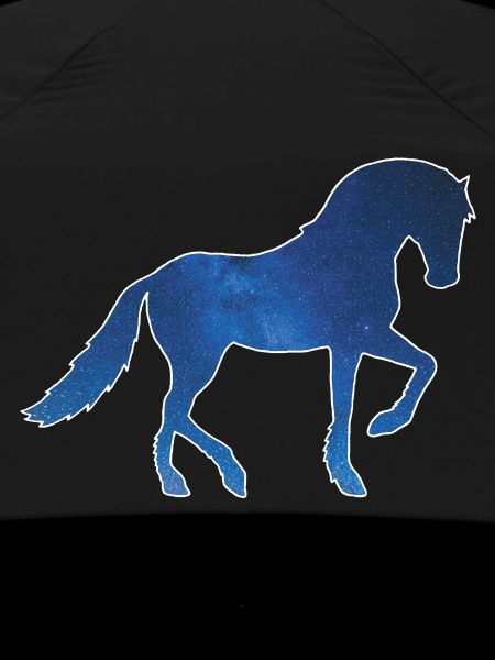 Cheval et univers