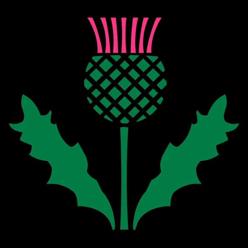 Scottish Thistle