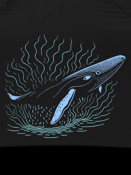 Big whale
