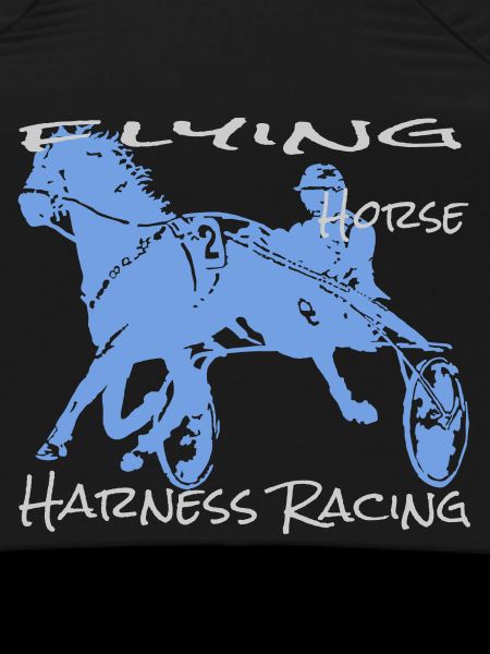 Trotter trotting race