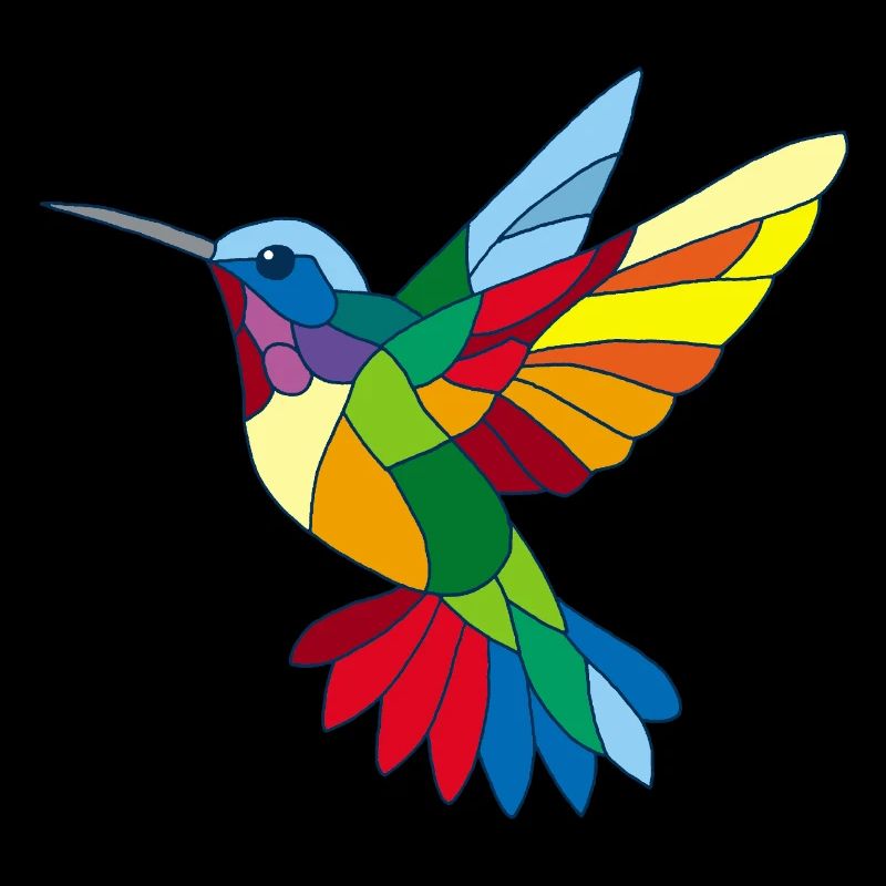 Colibri multicolore