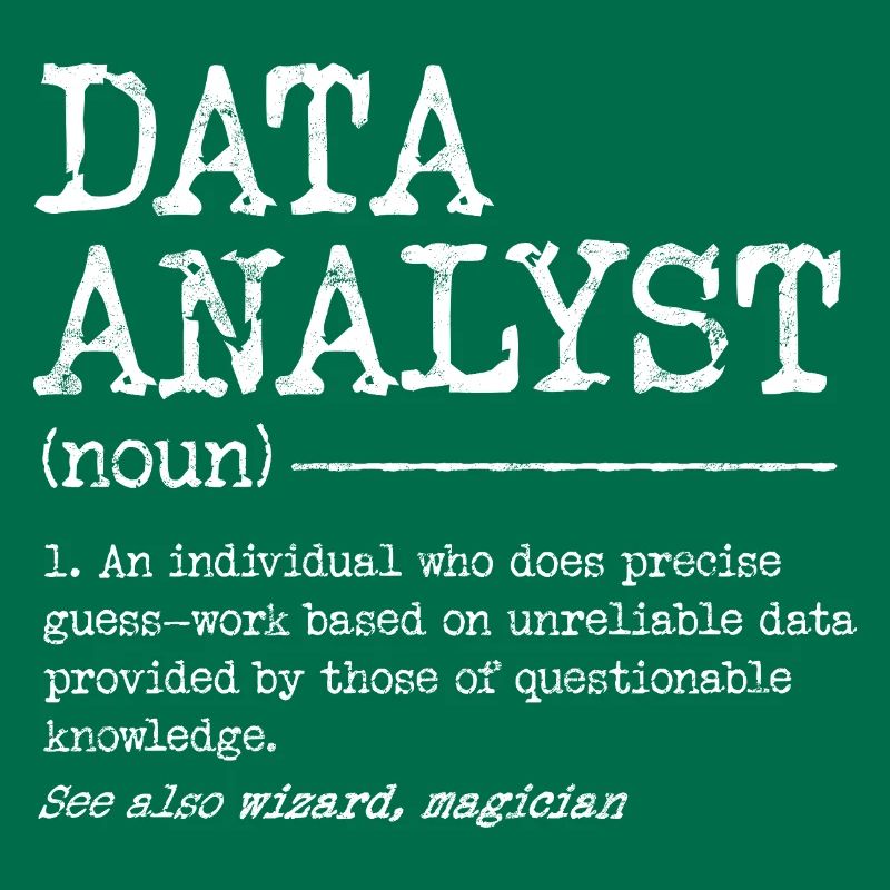 Data Analyst Meme Tee
