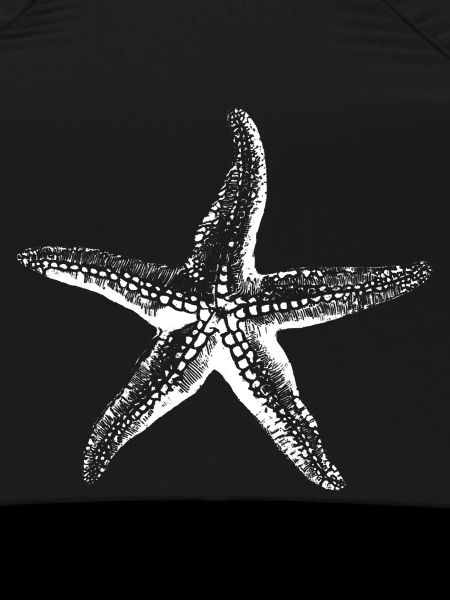 Starfish Silhouette Ink Sketch
