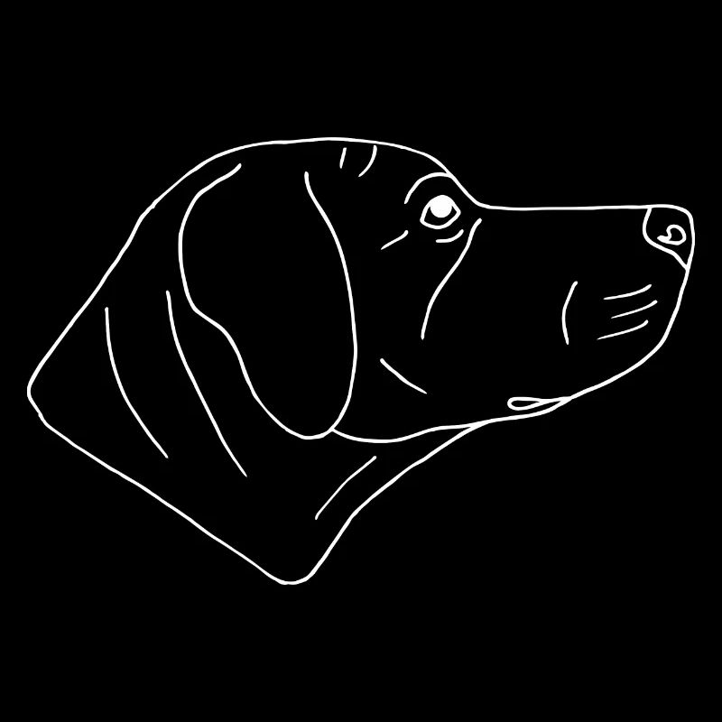 Rhodesian Ridgeback