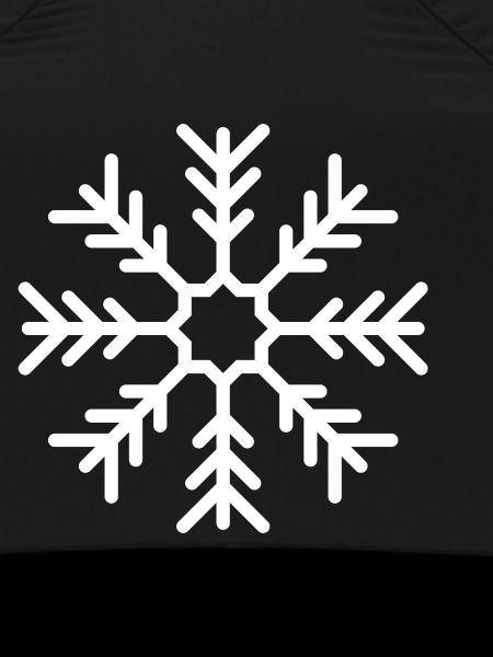 Snowflake