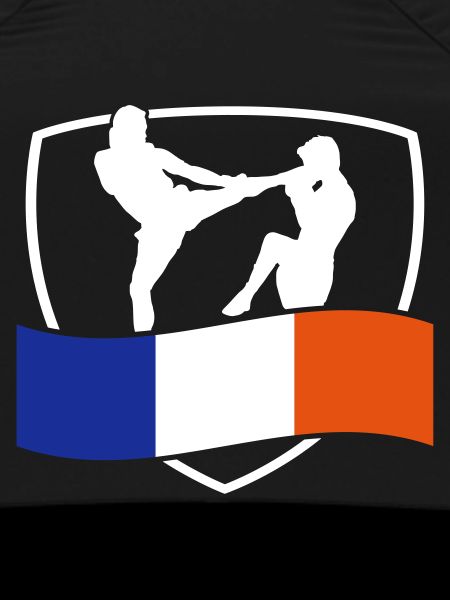 arts martiaux