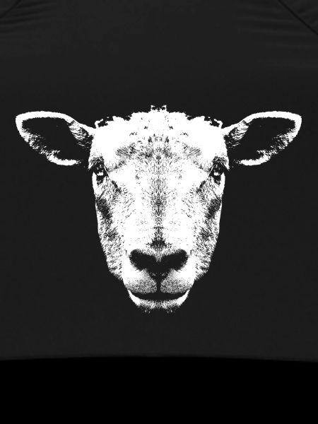 Sheep / Lamb / Head