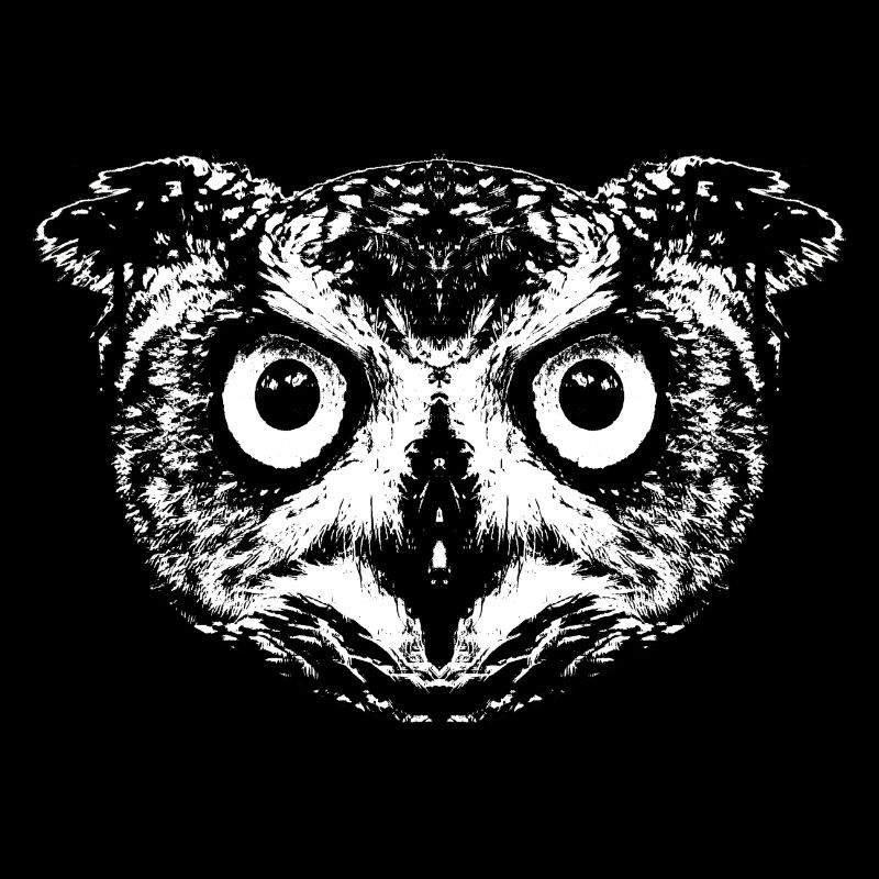 Eule / Uhu / Kauz