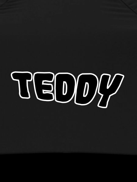Teddy