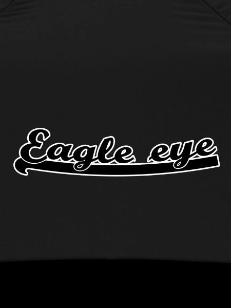 Eagle eye