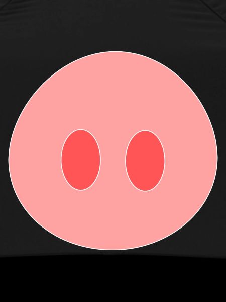 Cochon