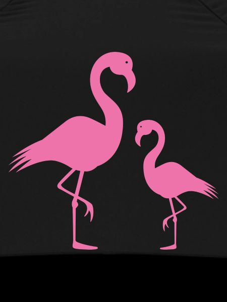 flamingos