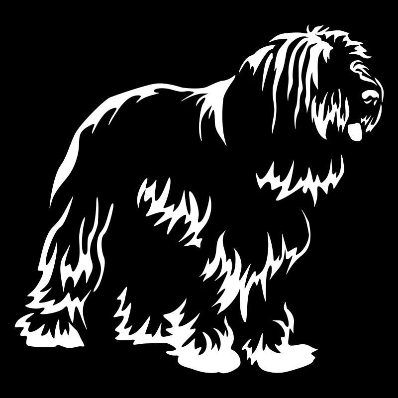 Bearded Collie "Black Edition"