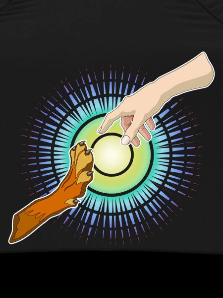 Dog's Paw, Human Hand