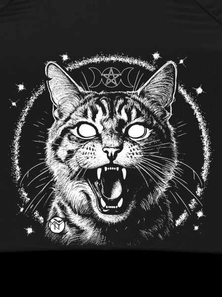 Bewitched Tabby