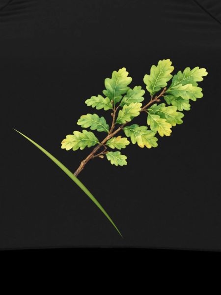 Leaf Branch Oak - Aquarelle