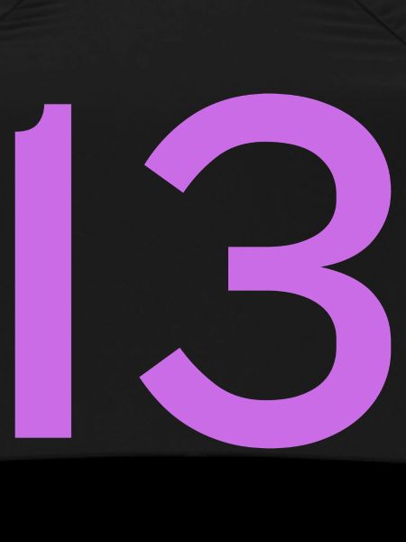 13