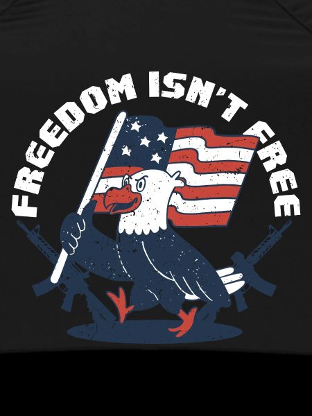 Veterans Day for Republicans