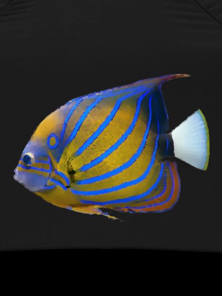 fish tropical