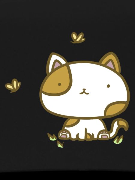Cute cat