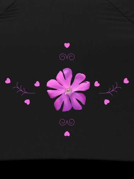 Carnation Pink Flower