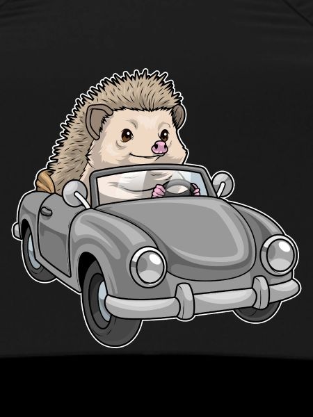 Igel Auto