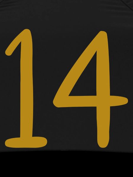 14