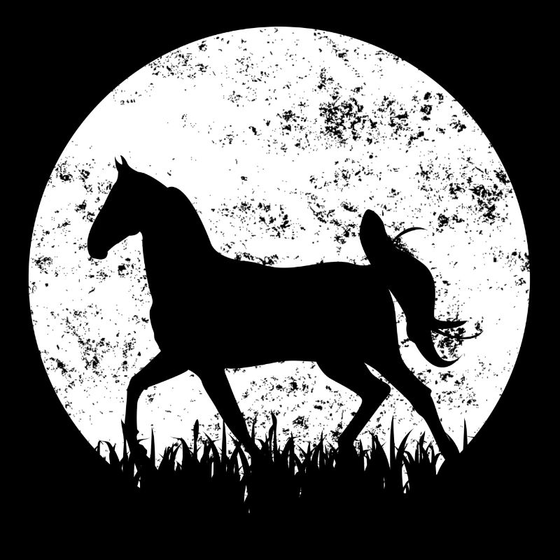 Pferd Pferde Reiten