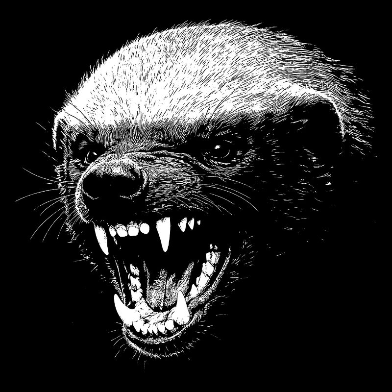 Düsteres Predatorengesicht Honigdachs