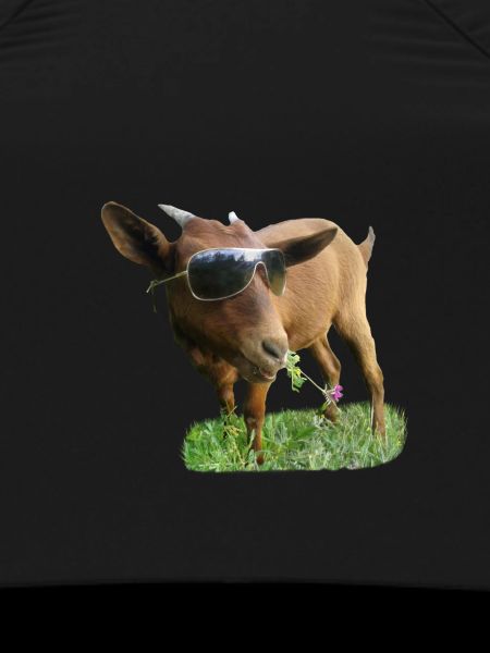 Goat with glasses