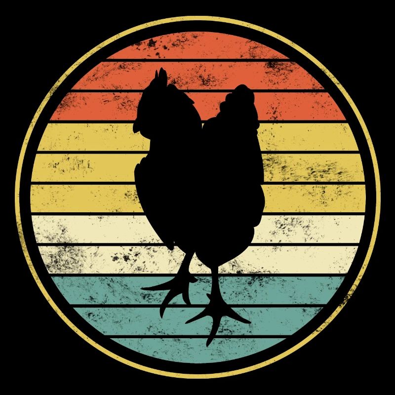 Poulet poules