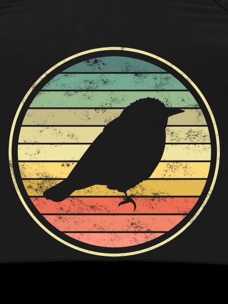 bird birds