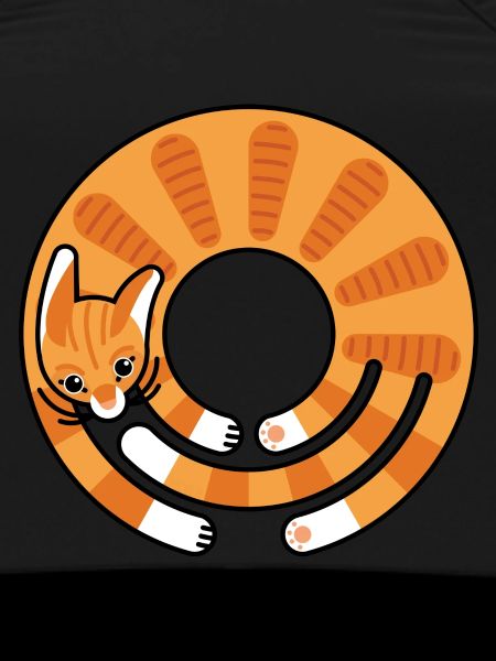 Orange cat