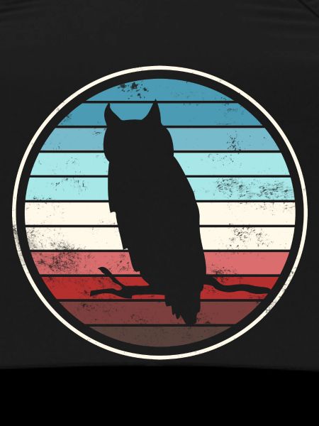 Owl Owls