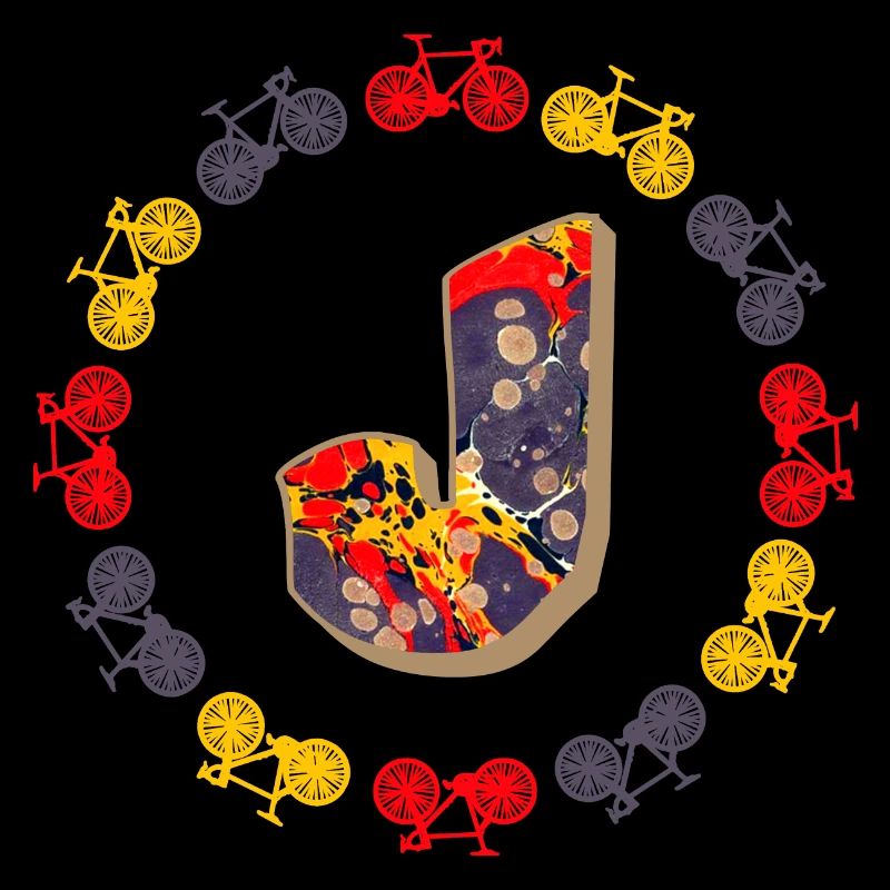 Bicycle E 202 J