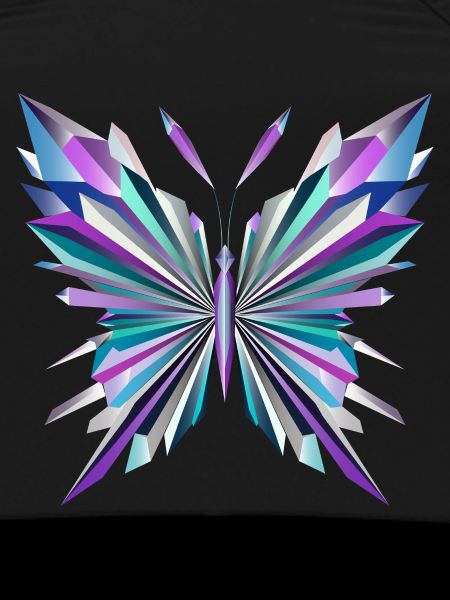 Fascinating geometry – abstract butterfly