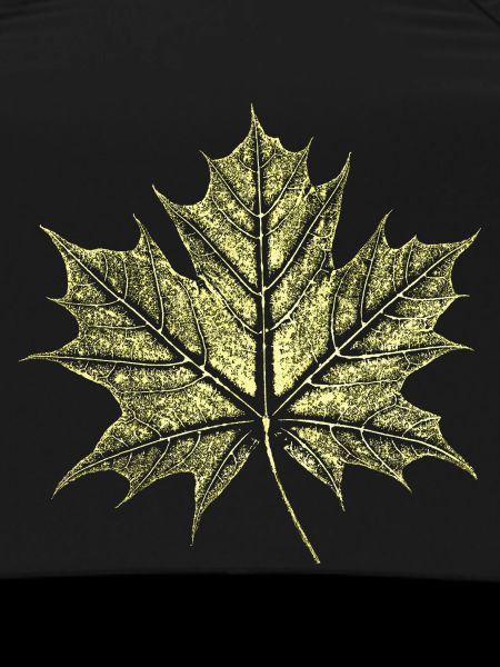 Maple Leaf / Botany - Natural