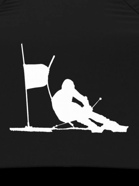 ski